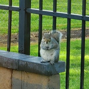 Meet your Posher, Tara